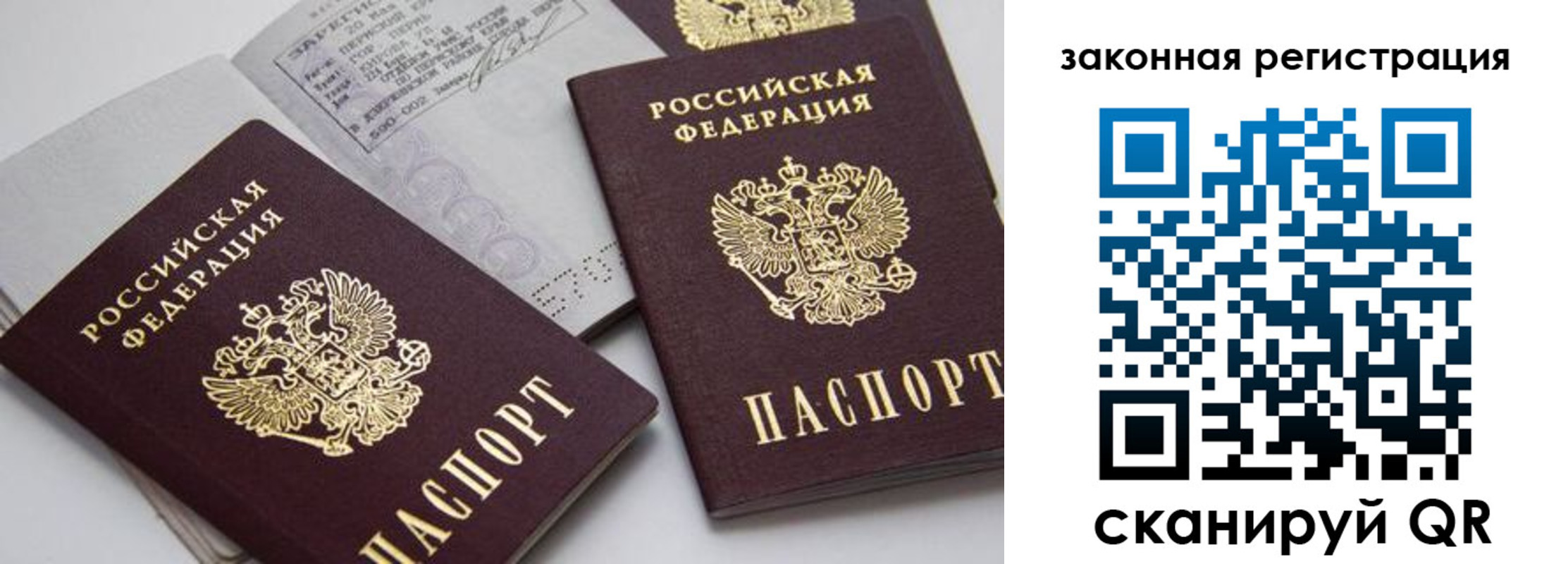 регистрация для школы в Курской области
