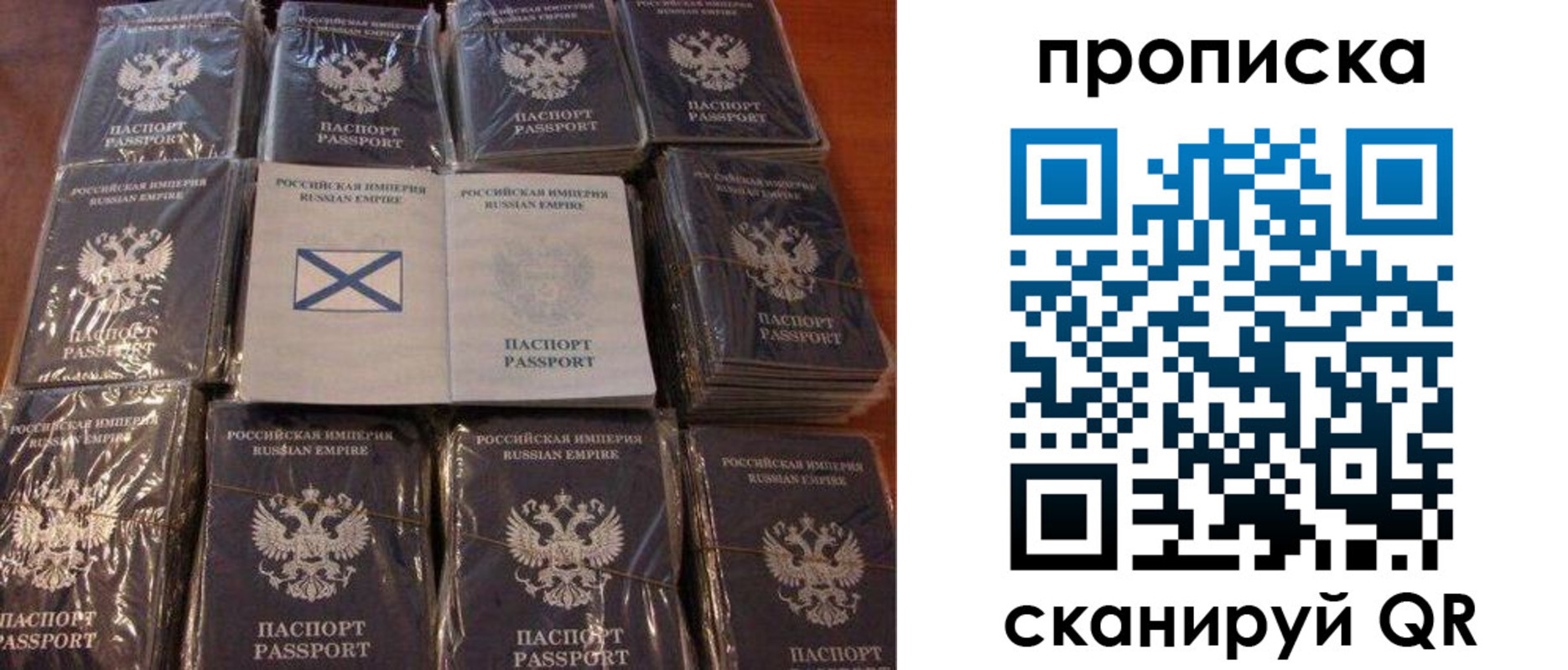 прописка от собственника в Курской области